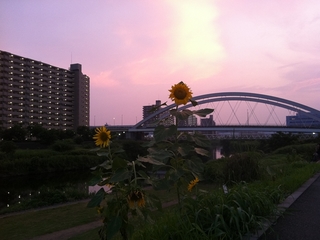 011_R.jpg